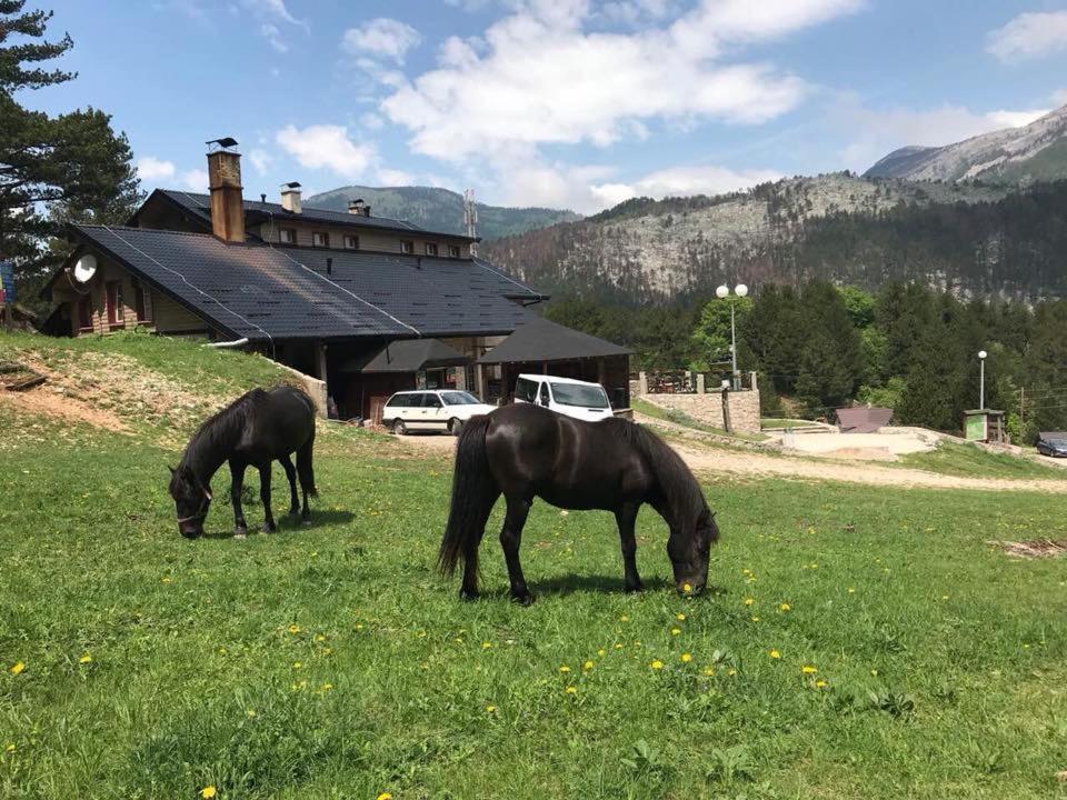 מוסטר Hotel Snjezna Kuca - Nature Park Of Bosnia Herzegovina מראה חיצוני תמונה