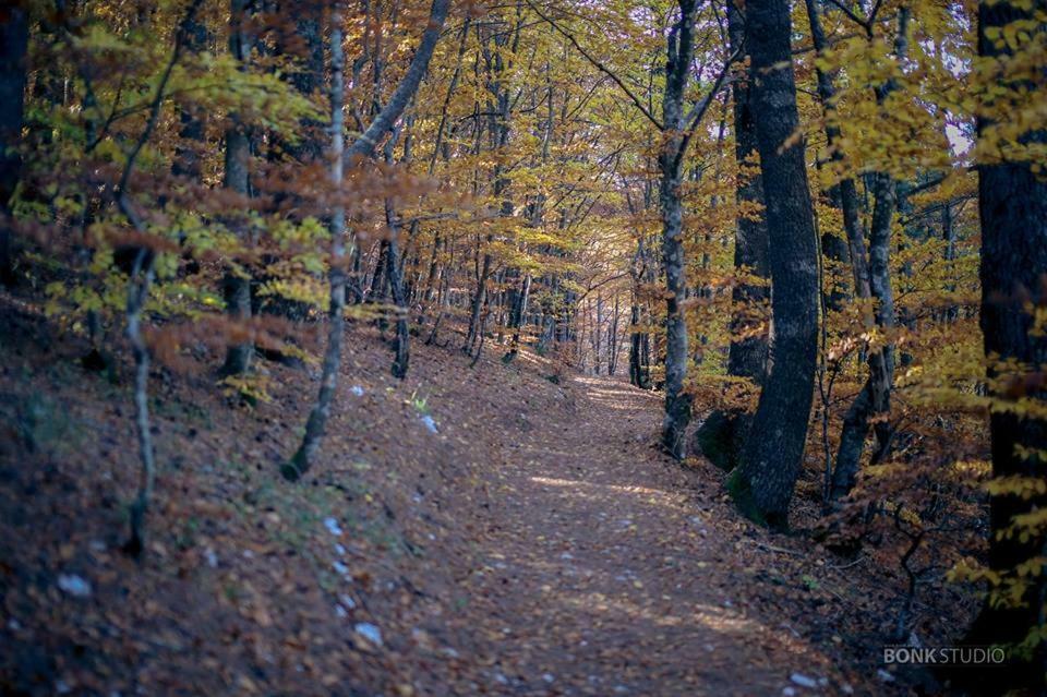 מוסטר Hotel Snjezna Kuca - Nature Park Of Bosnia Herzegovina מראה חיצוני תמונה