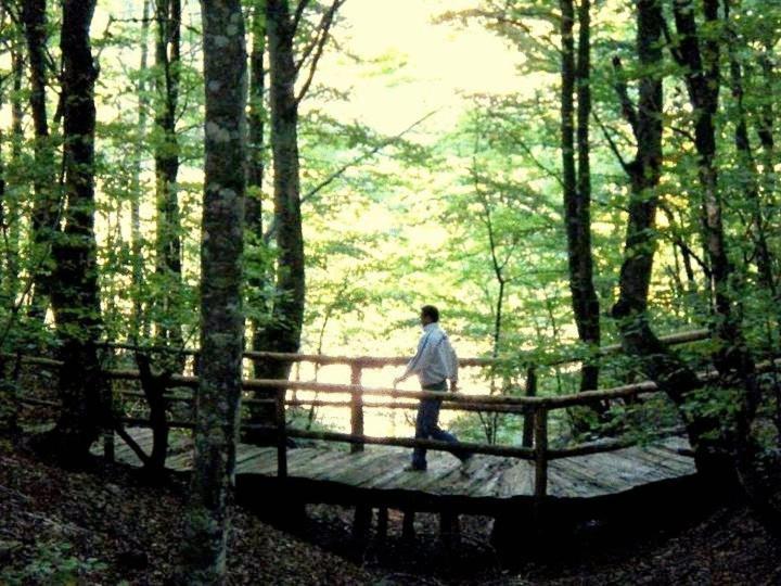 מוסטר Hotel Snjezna Kuca - Nature Park Of Bosnia Herzegovina מראה חיצוני תמונה